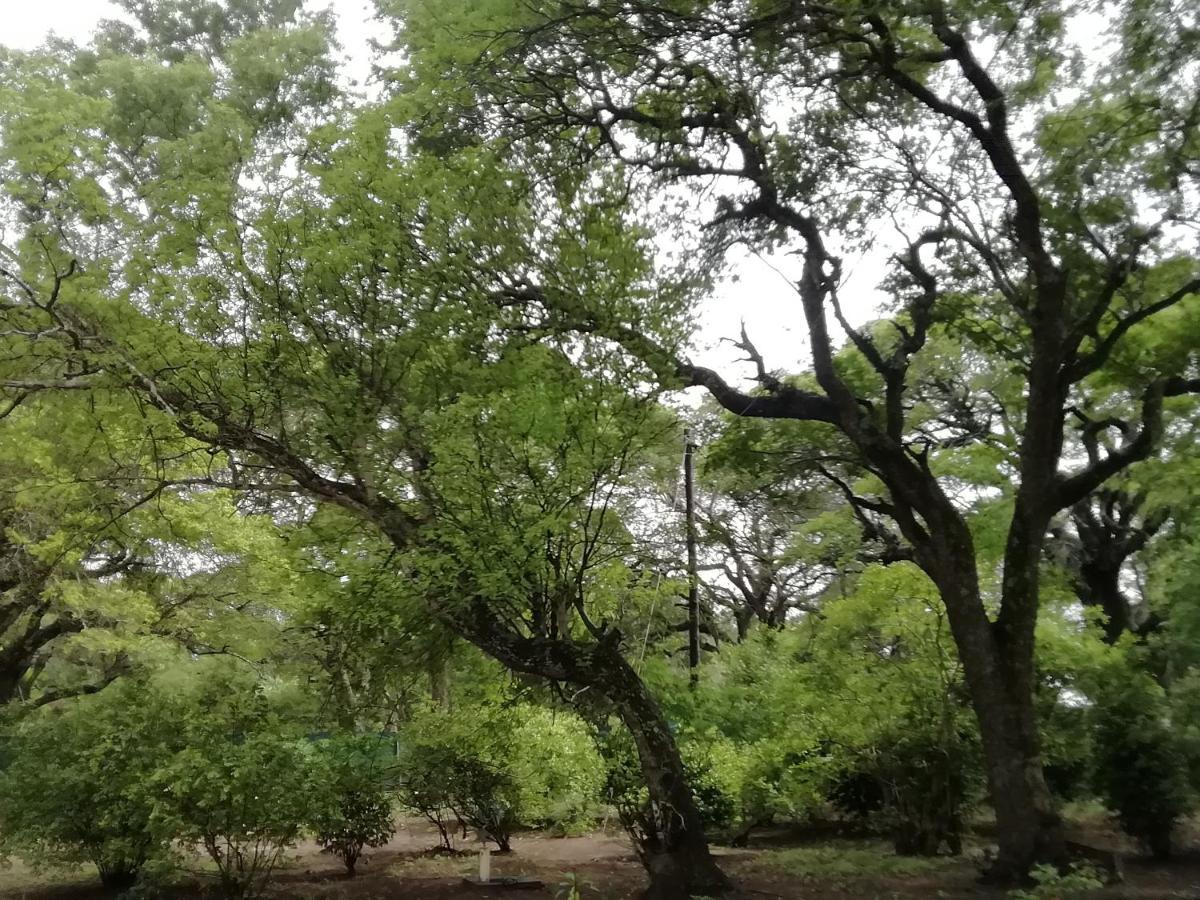 Lebombo Wattle Cottages ฮลูฮลูเว ภายนอก รูปภาพ